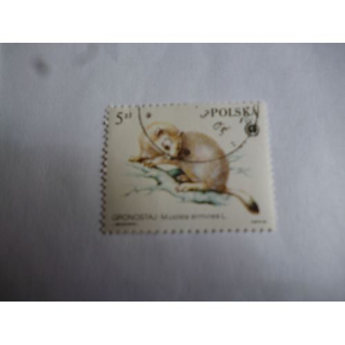 Timbre Pologne 1985 :Mustela Erminea:Hermine.