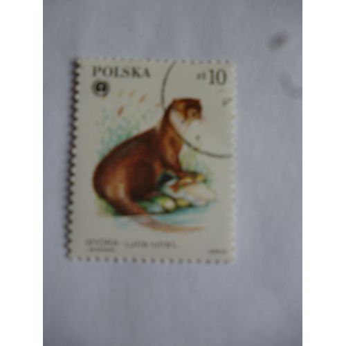 Timbre ¨Pologne 1985 :Lutra Lutra :Loutre.