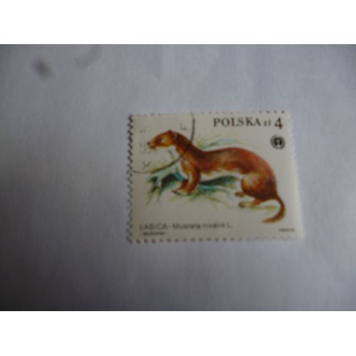 Timbre Pologne 1985 :Mustela Nivalis :Belette.