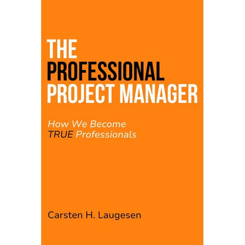 The Professional Project Manager