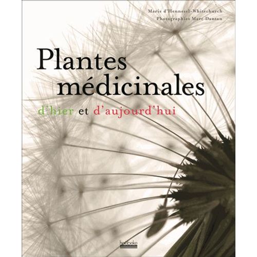 Plantes Médicinales D'hier Et D'aujourd'hui