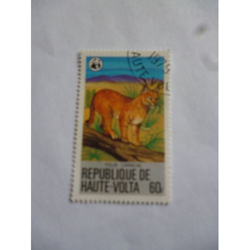 Timbre Haute Volta 1979 :Felis Caracal.