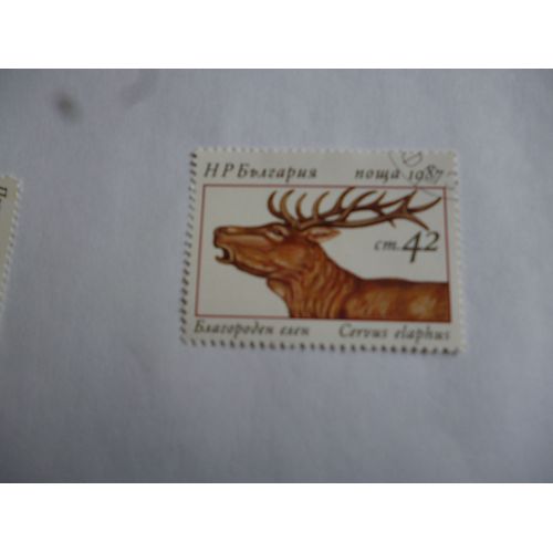 Timbre Bulgarie 1987:Cervus Elephus :Cerf.