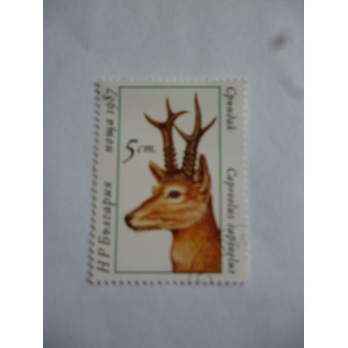Timbre Bulgarie 1987 :Cervus Capriolus :Chevreuil.