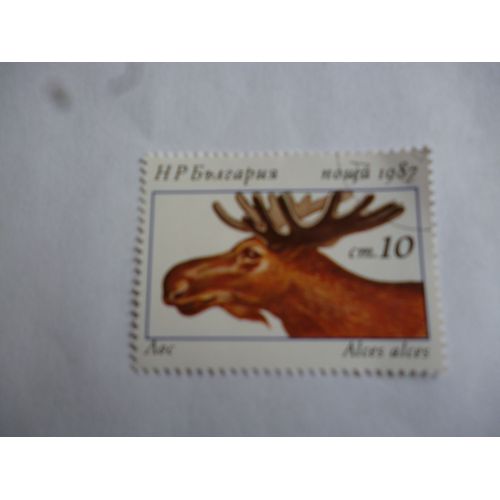 Timbre Bulgarie 1987 :Alces Alces :Élan.