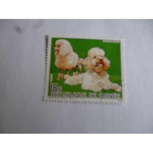 Timbre Guinée 1985 :Caniche Blanc.