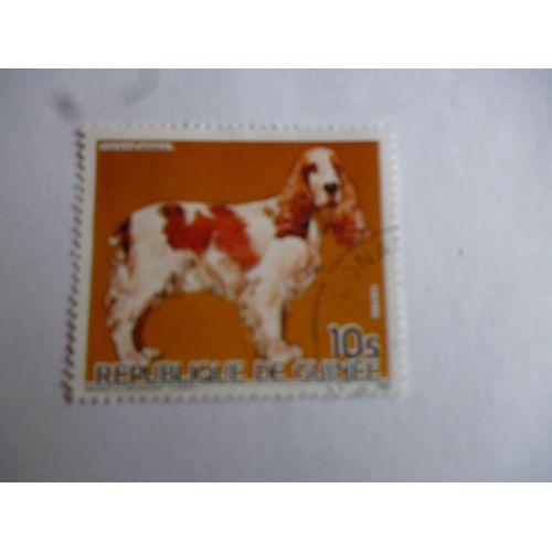Timbre Guinée 1985 :Cocker Spaniel.