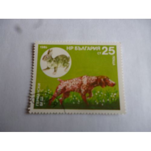 Timbre Bulgarie 1986 :Chien Braque Allemand.