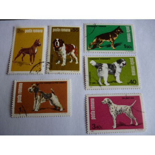Lot De 6 Timbres Roumanie 1981 :Fox Terrier,Boxer Berger Allemand,Chien De Berger,  St Bernard ,Dalmatien