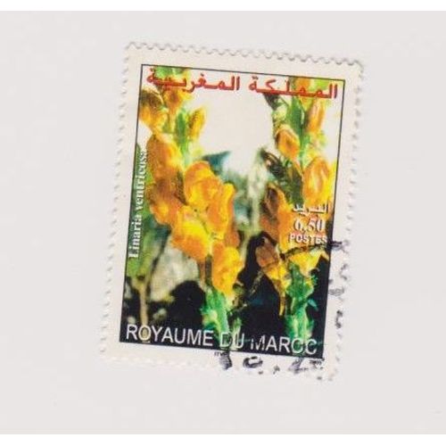 Timbre Fleur Nature Maroc Royaume Du Maroc 