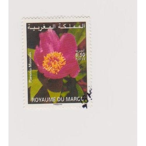 Timbre Fleur Fleurs Royaume Du Maroc