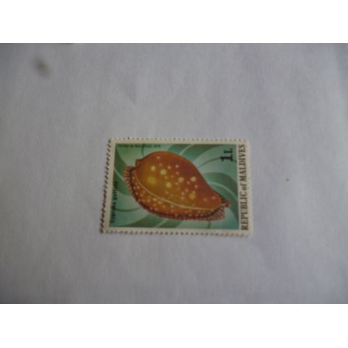 Timbre Maldives 1975 :Mollusque:Cypraea Guttata.