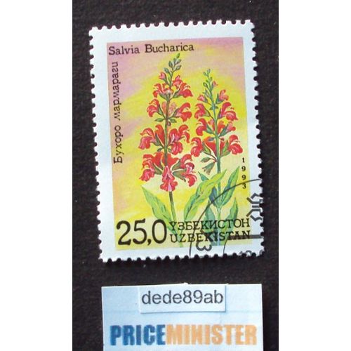 Ouzbékistan.. 25,0 Uzbékistan . Fleur : Salvia Bucharica . Oblitéré Used Stamp.