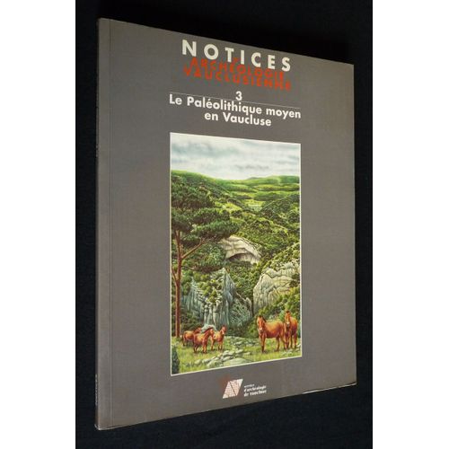 Notices D'archéologie Vauclusienne 3 : Le Paléolithique Moyen En Vaucluse. A La Rencontre Des Chasseurs Néandertaliens De Provence Nord-Occidentale