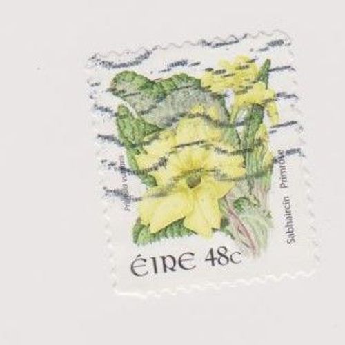 Timbre Irlande Fleur Fleurs Oblitéré 