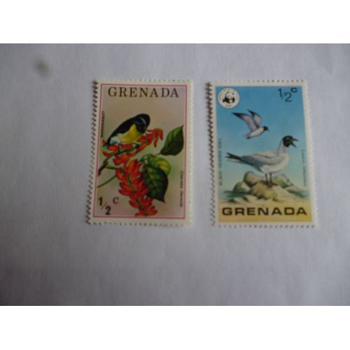 Lot De Deux Timbres Grenade:Mouette À Tête Noire Et Bananaquit.
