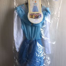 Deguisement Princesse Dream Life 