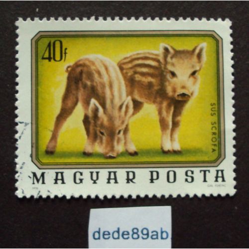 Hongrie..  40f Magyar Posta - Sus Scrofa Sanglier Jeunes Marcassins . Oblitété Used Stamp.