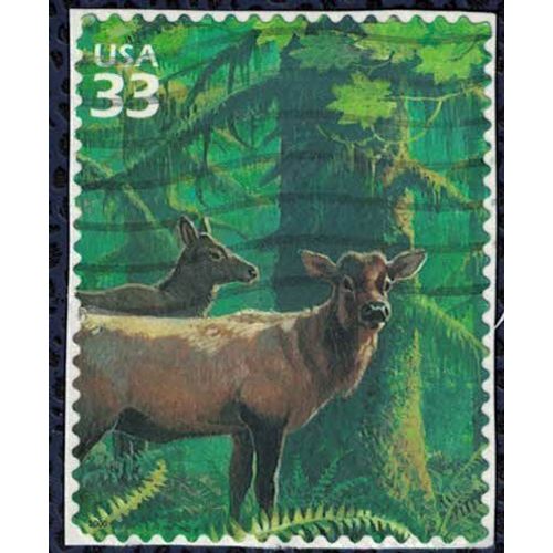 Etats Unis 2000 Oblitéré Used Sur Fragment Animaux Cerf Wapiti De Roosevelt