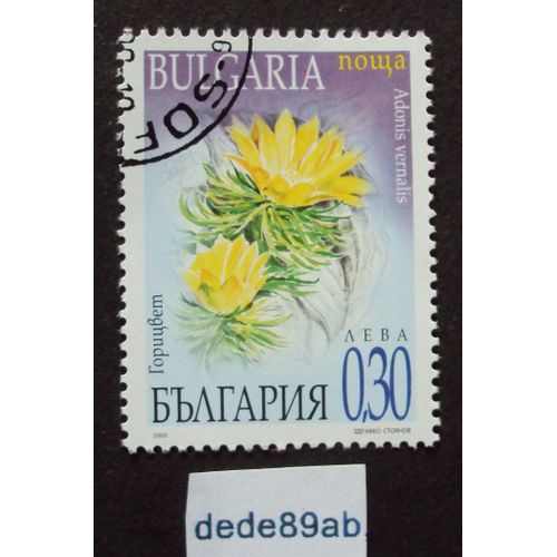 Bulgarie..  (0.30) Bulgaria . Fleurs : Adonis Vernalis .Oblitéré Used Stamp.