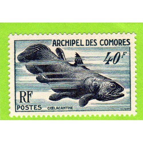 Timbre Des Comores