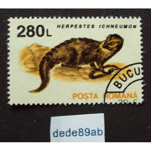 Roumanie.. Posta Romana 280 L . Herpestes Ichneumon - Rat Des Pharaons  Ou Mangouste D' Egypte  . Oblitéré Used Stamp.