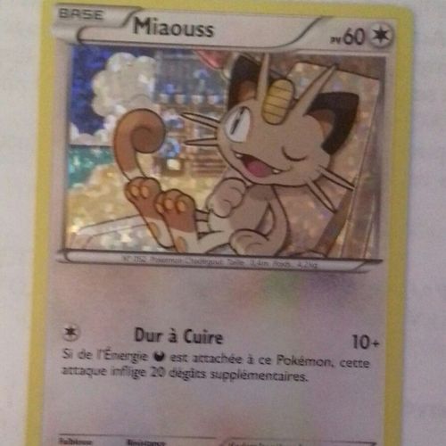 Miaouss Pv60 Fr