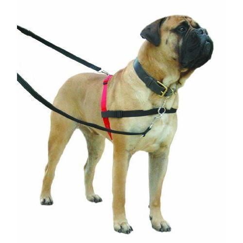 Halti Harnais Pour Chien Anti-Traction Rouge Et Noir Taille M