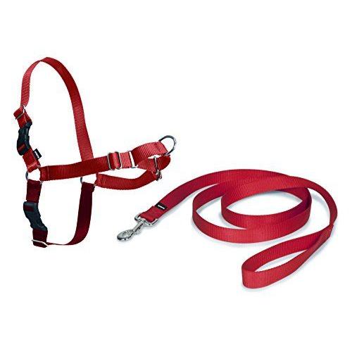 Pet Safe Easy Walk Harness Medium Red