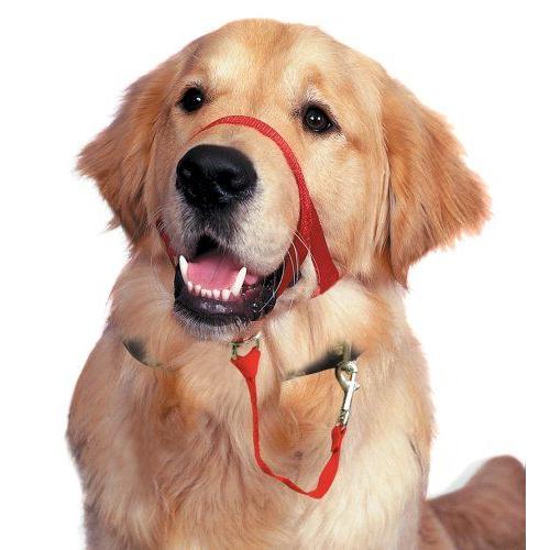 Halti Licol Educatif Anti-Traction Dressage Pour Chien Taille 3 Rouge