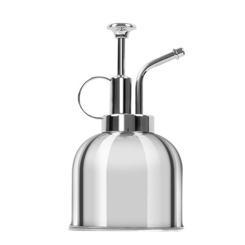 Arrosoir en m¿¿tal de 300 ml, petit arrosoir de style r¿¿tro, pompe sup¿¿rieure, arrosoir pour bonsa?, fleurs, plantes, arrosoir vintage pour la maison ou le bureau (argent)