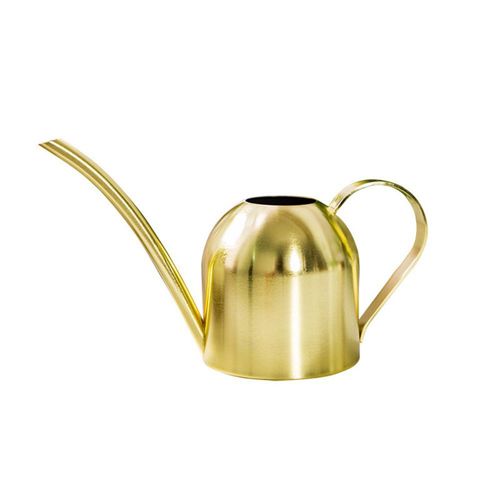 Arrosoir en m¿¿tal inoxydable Mini arrosoir de 500 ml Petit arrosoir en acier inoxydable pour le jardinage de plantes en pot de bureau ¿¿ domicile int¿¿rieur et ext¿¿rieur