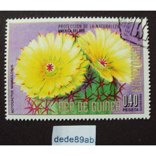 Rep. De Guinea Ecuatorial..  0.40peseta . Notocactus Mammulosus . Fleurs De Cactus . Oblitéré Used Stamp