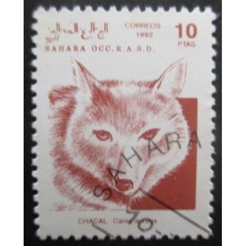 Saharaui Chacal Oblitéré