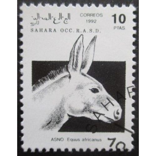 Saharaui Ane Oblitéré