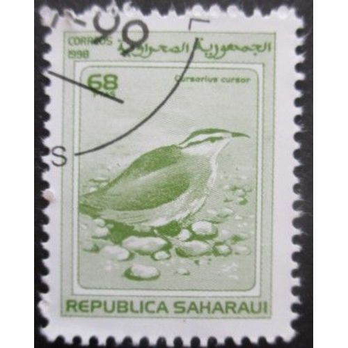 Saharaui Oiseau Oblitéré