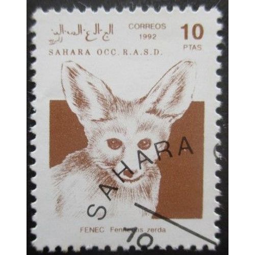 Saharaui Fennec Oblitéré