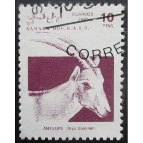 Saharaui Antilope Oblitéré
