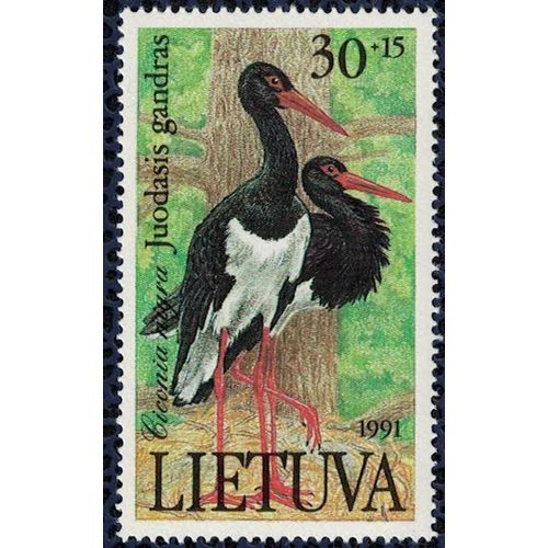 Lituanie 1991 Neuf Avec Gomme Oiseau Ciconia Nigra Cigogne Noire