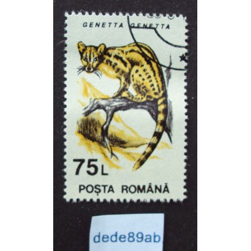 Roumanie.. Posta Romana 75 L Genetta Genetta (Genette) . Oblitéré Used Stamp.