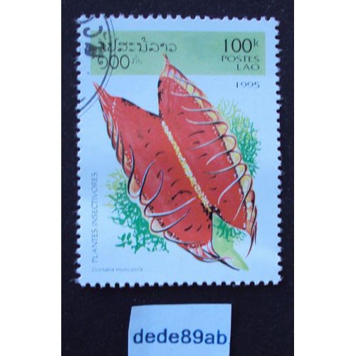 Laos.. Postes Lao . 100k Dionaea Muscipula - Plantes Insectivores - Tue Mouches  . Oblitéré Used Stamp .