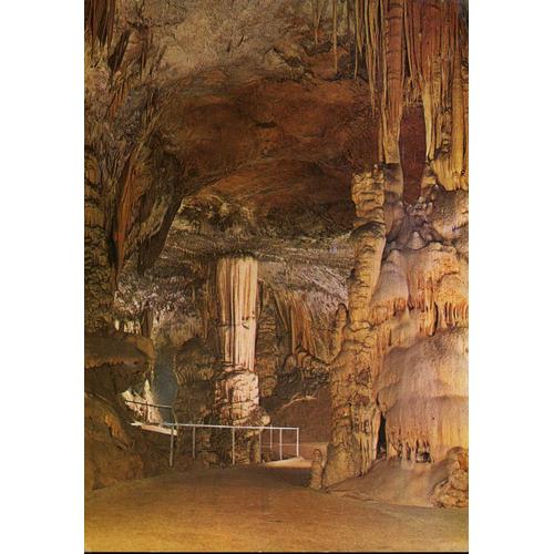 Carte Postale  De Postojnska Jama  (Slovénie)  Grotte, Le Brillant