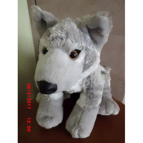 Chien Des Neiges Nounours