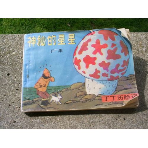 Tintin Et L'étoile Mystérieuse
