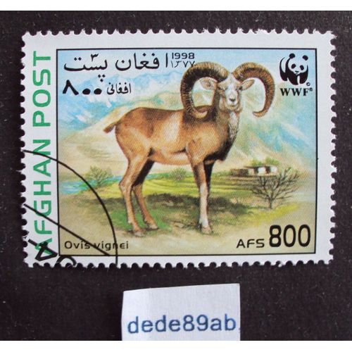 Afghanistan..  800 Afs Afghan Post 1998 . W W F . Mouflon Sauvage (Ovis Vignei) Oblitéré Used Stamp .