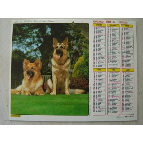 Almanach /Calendrier Facteur 1991 " Chiens Bergers Allemands /Chien Husky "Editions Lavigne/La Poste