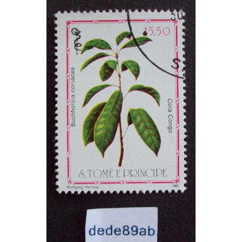S. Tomé E Principe..  15.50 Plantes : Buchholzia Coriacea - Cola Congo . Oblitéré Used Stamp