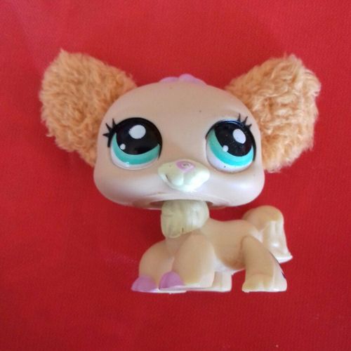 Petshop 2514 Chien Papillon 