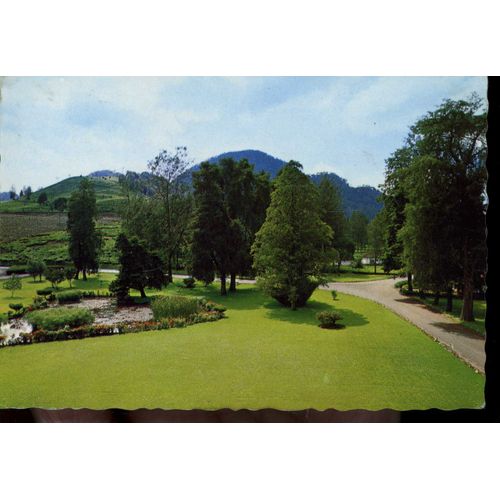Carte Postale De Pengalengan, West Java  (Indonésie)  Malabar Tea Plantation