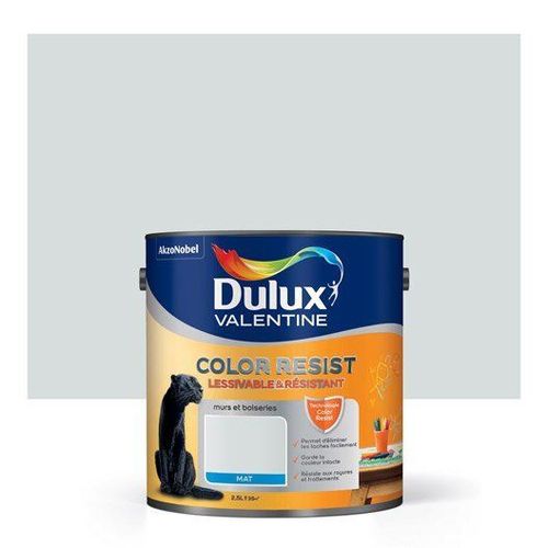Peinture blanc argent Dulux Valentine color resist 2,5L